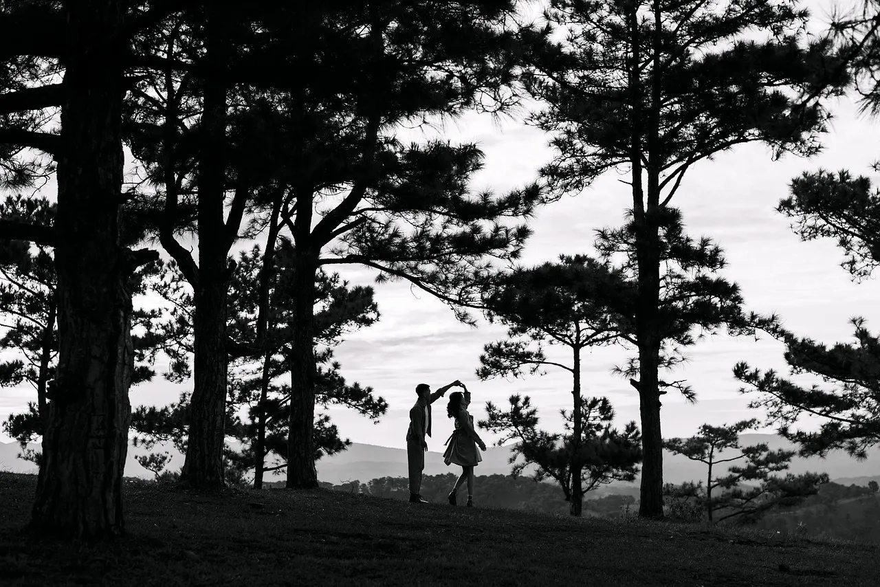 Couple silhouetted together among tall grass at dusk