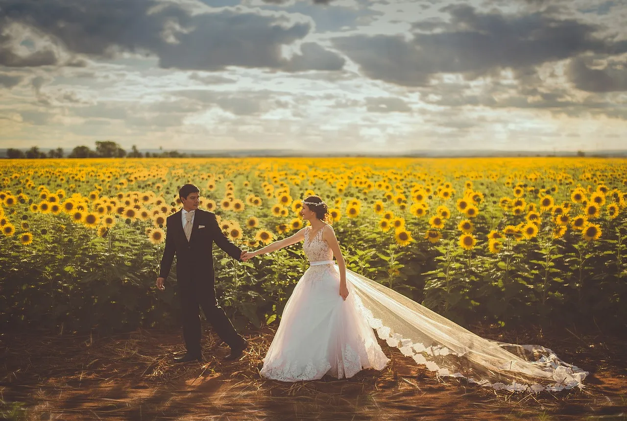Couple walking through a sunflower field at golden hour